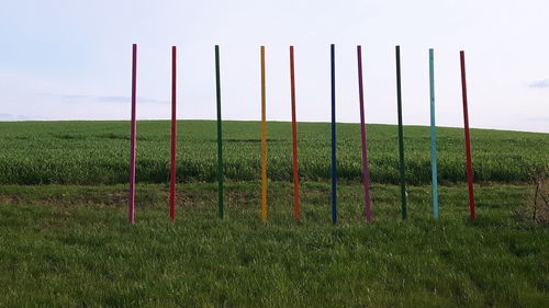 Fence on grassy field