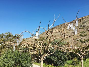 Low angle view of built structure against clear blue sky