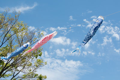 Low angle view of kite flying against sky