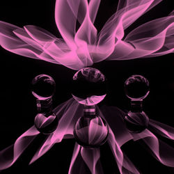 Digital composite image of flowers against black background