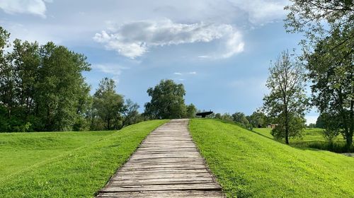 Footpath amidst trees on landscape against sky