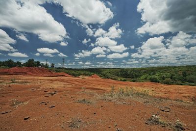 Scenic view of landscape against sky