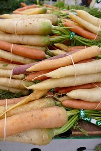 Close-up of vegetables