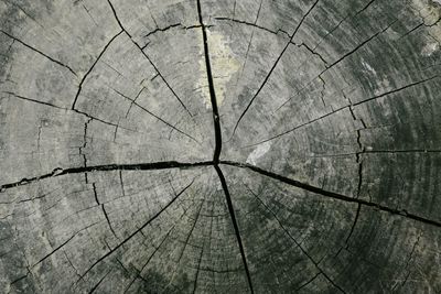 Full frame shot of textured surface