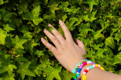 Midsection of woman touching leaves