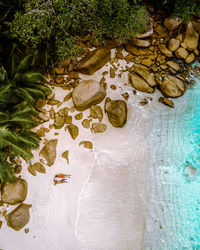 High angle view of water flowing through rocks