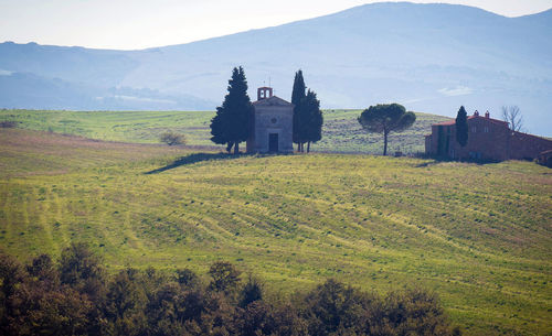 Scenic view of field against sky