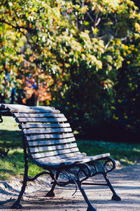 Empty bench in park