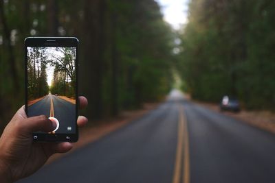 Cropped image of hand holding tree