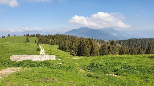 Scenic view of land against sky