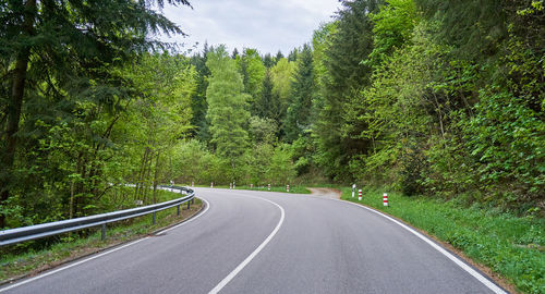 Asphalt road with turns through the schwarzwald forest