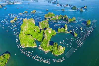 High angle view of plants by sea in city