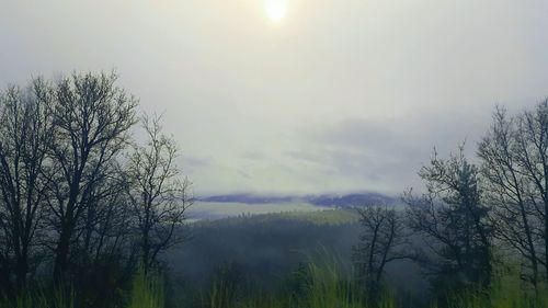 Scenic view of trees against sky during foggy weather