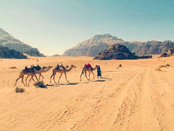 People riding horses in desert against sky