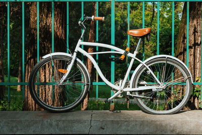 Bicycles on tree