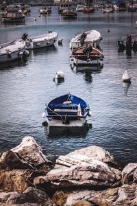 High angle view of fishing boats moored at harbor