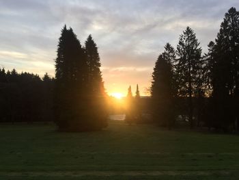 Trees on field against sky at sunset