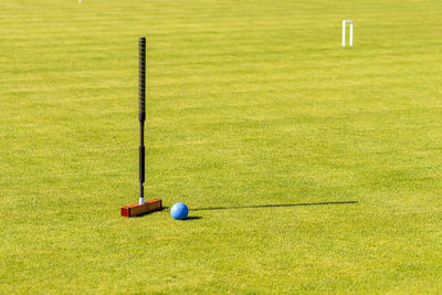 Golf ball on grassland