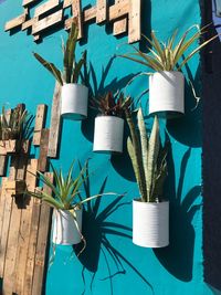 Potted plants hanging on railing against blue sky