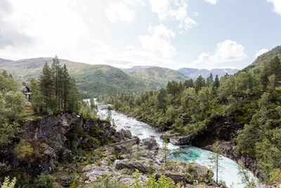 Scenic view of river amidst trees against sky