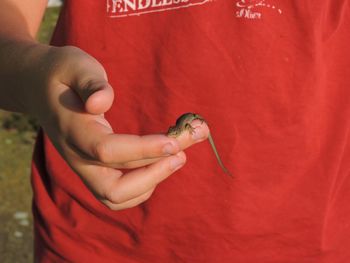 Close-up of person holding red ring