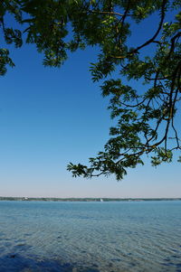 Scenic view of sea against clear blue sky