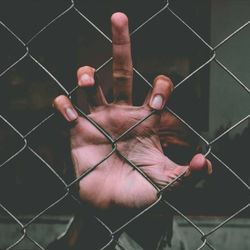 fence