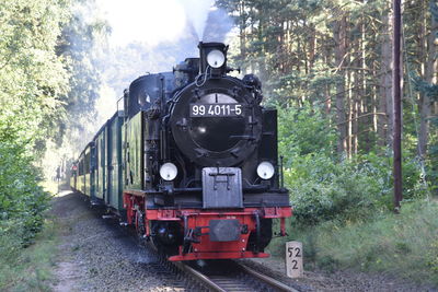 Train on railroad track amidst trees