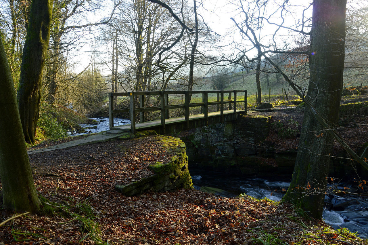 VIEW OF ABANDONED BRIDGE OVER FOREST