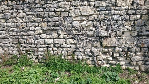 Full frame shot of brick wall