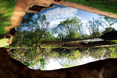 Reflection of trees in lake against sky