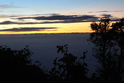 Scenic view of silhouette trees against sky at sunset