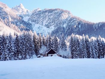 Scenic view of snow covered landscape and mountain