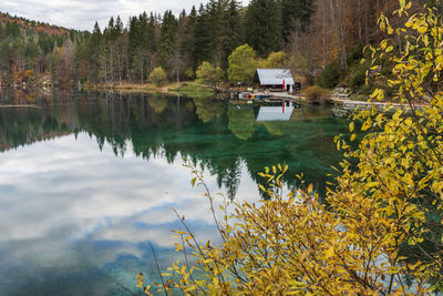 Scenic view of lake by trees during autumn