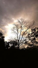 Silhouette of tree against sky at sunset