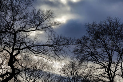 Low angle view of silhouette bare tree against sky