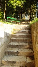 Empty staircase amidst trees