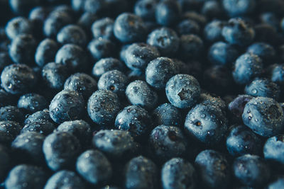 Full frame shot of blueberries