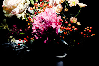 Close-up of pink flowers