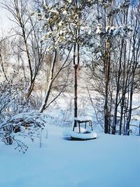 Bare trees on snow covered field