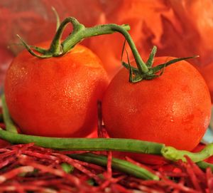 Close-up of red chili peppers on plant