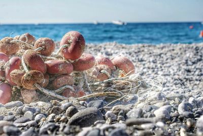 Close up of pebbles on beach