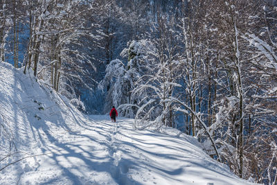 Person on snowcapped mountain