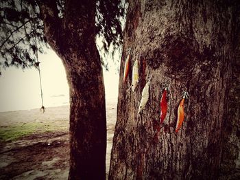 People on tree trunk by sea