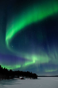 Scenic view of tree against sky at night during winter