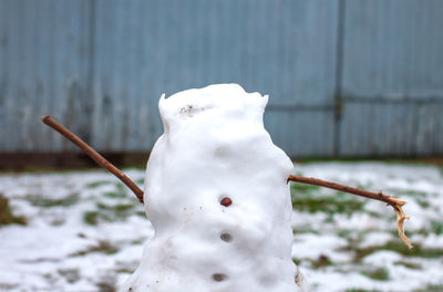 Close-up of snow covered tree