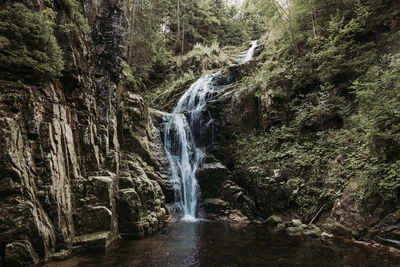 Scenic view of waterfall in forest