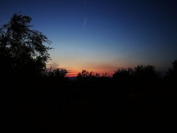 Silhouette trees against clear sky at sunset