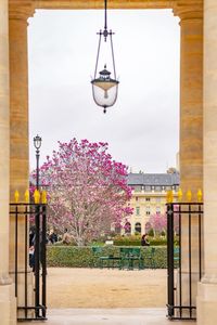 Street light by building against sky