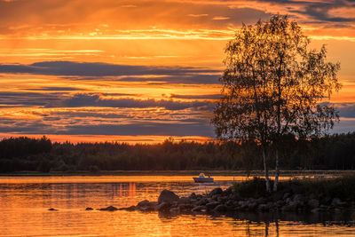 Silhouette tree by lake against orange sky